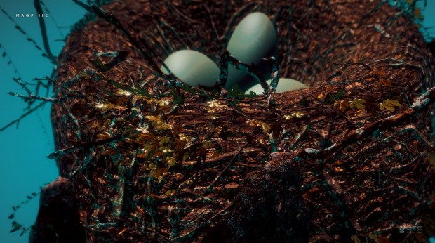 Three small, blue-white eggs lie in the top of the nest, surrounded by interwoven twigs.