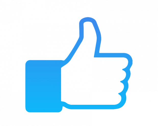 The Facebook thumbs up icon, in a lighter, gradiented blue on a white background.