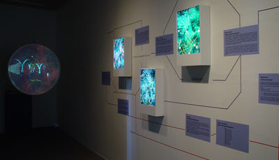 Exhibition "Juego Doble: dos ecosistemas" (2005)
