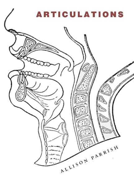 Cover image of Articulations by Allison Parrish