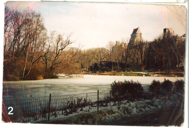 Central park lake in winter, iced over, with bare trees and buildings in the distance.