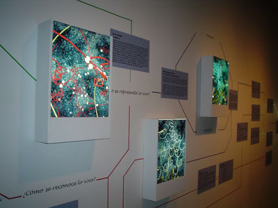 Exhibition "Juego Doble: dos ecosistemas" (2005)