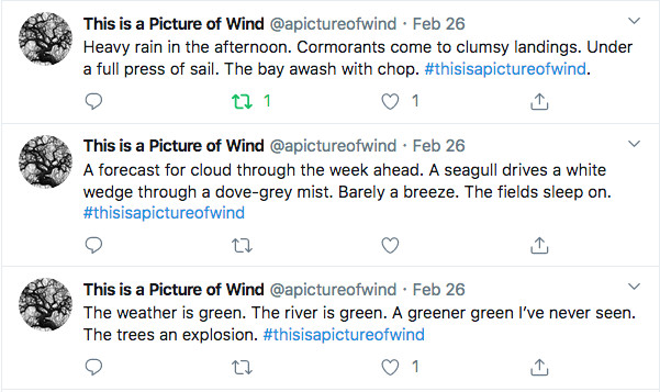Three tweets, all four sentences long, followed by the hashtag #thisisapictureofthewind