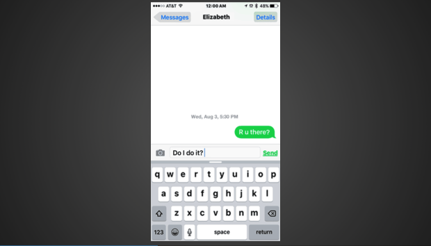 A screenshot of the work's imitation iPhone screen interface, open to the messaging app.