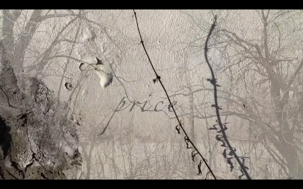 price, screenshot from vimeo video-poem